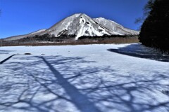 木影と尻別岳