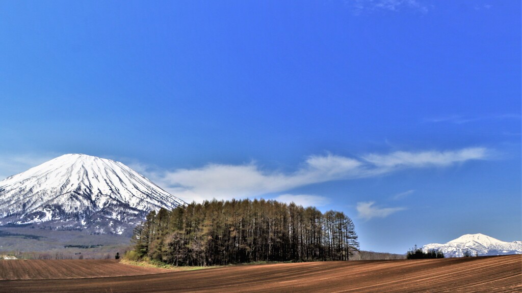 羊蹄山とニセコ連峰