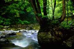 赤井川白井川