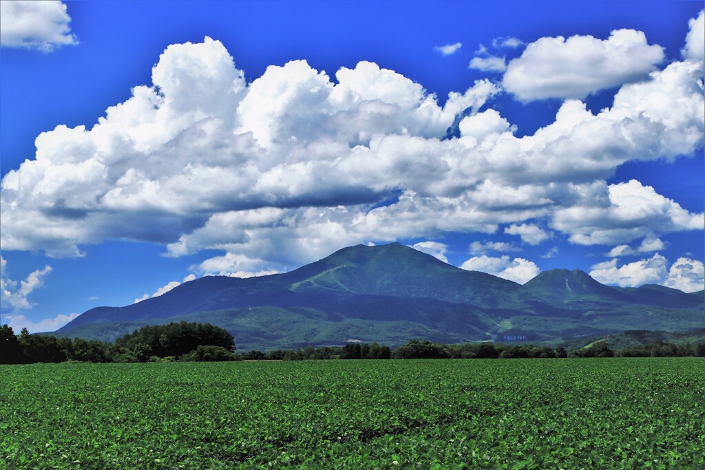 夏のニセコ連峰