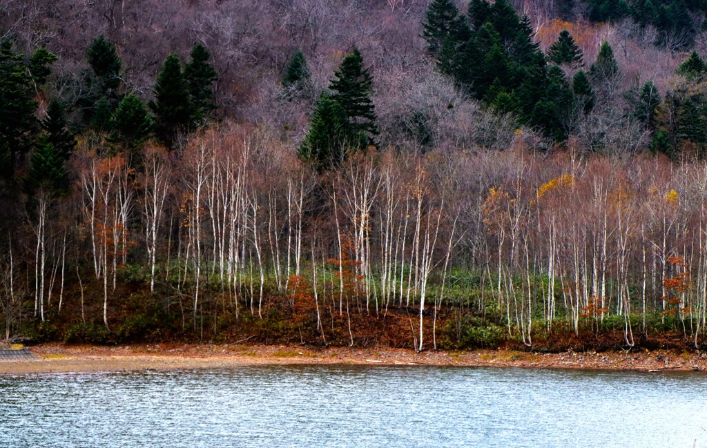 晩秋札幌湖
