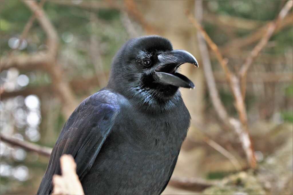 なにみてるんだよ～