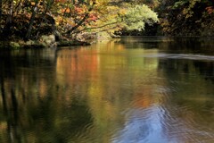 それぞれの秋♪