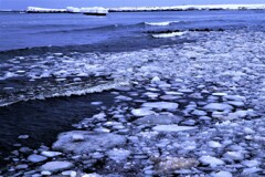 春がやって来る～