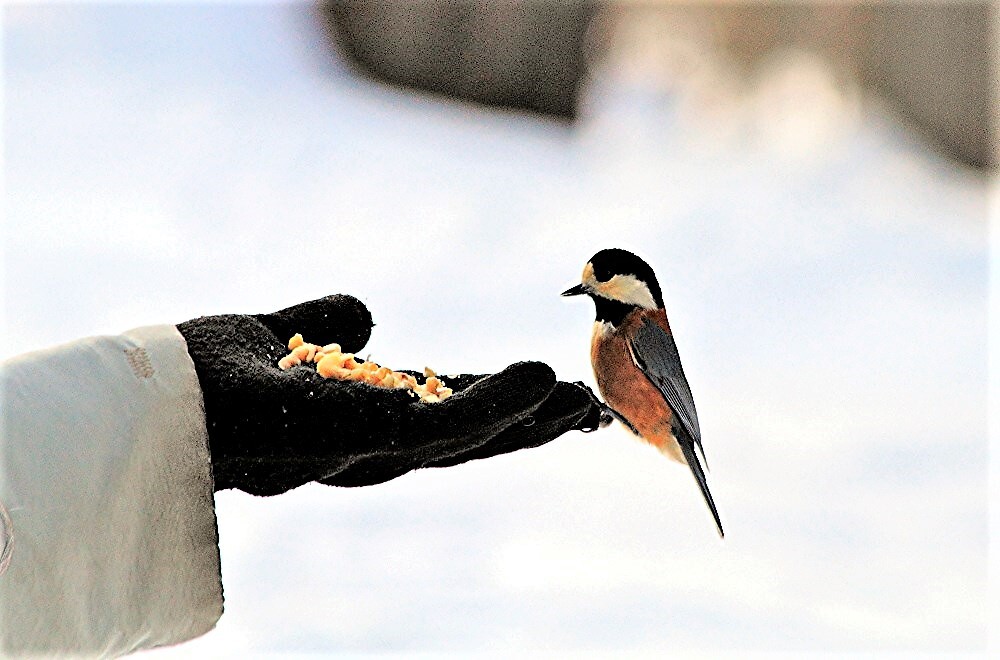 慣れすぎ(蔵出）