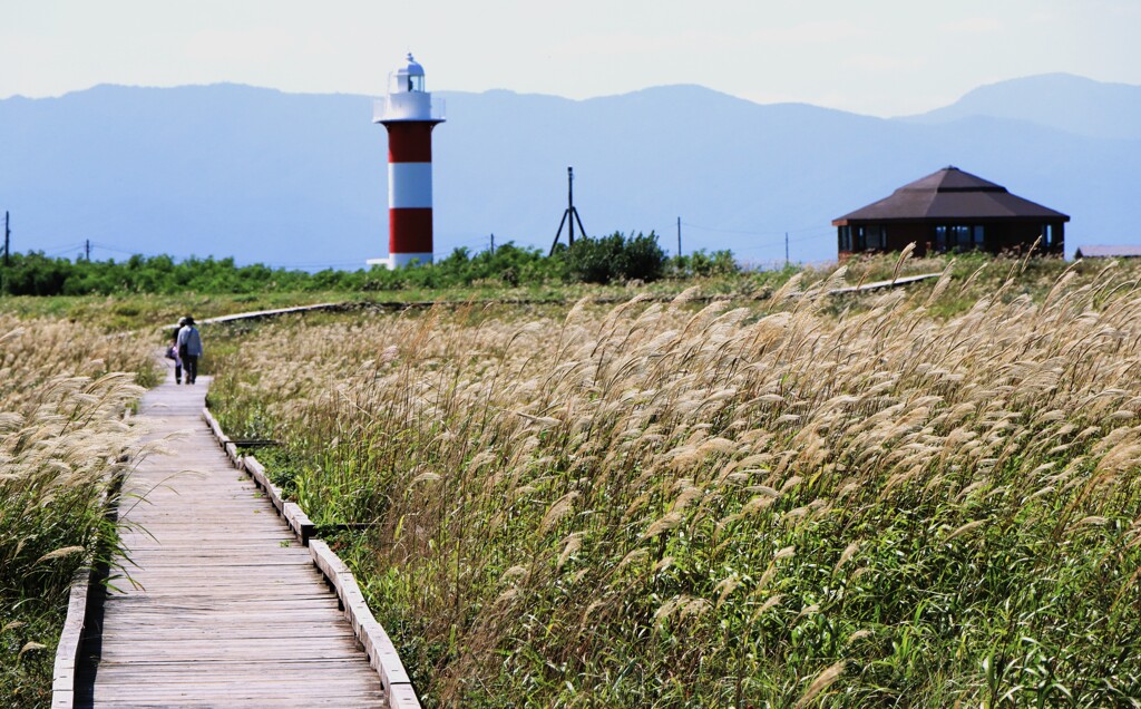 秋がやってくる