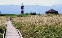 秋がやってくる