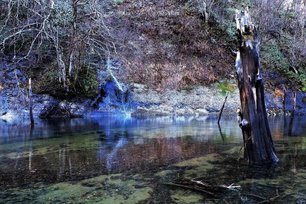 落合ダムに注ぐ川