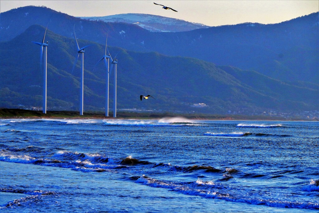 風を読む(小樽オタネ浜）
