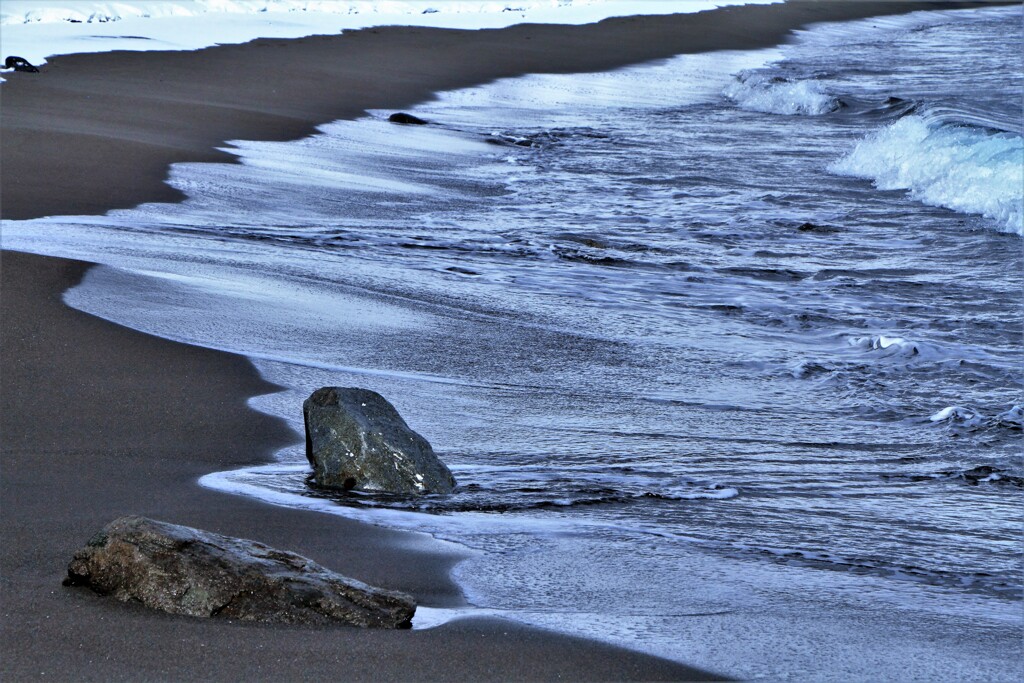 冬の引き潮