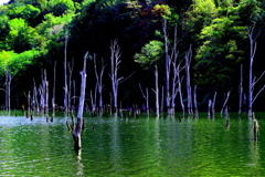 落合ダム湖