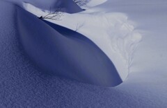 雪のクレパス 雪のクレパス
