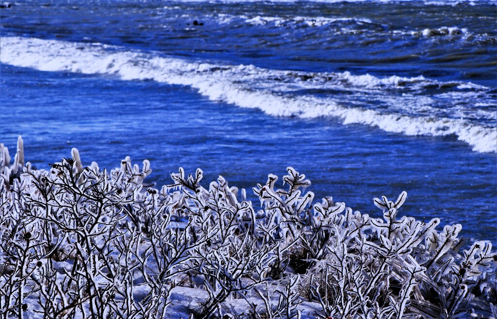 凍てつく（蔵出再投稿）