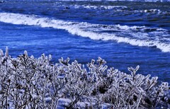 凍てつく（蔵出再投稿）