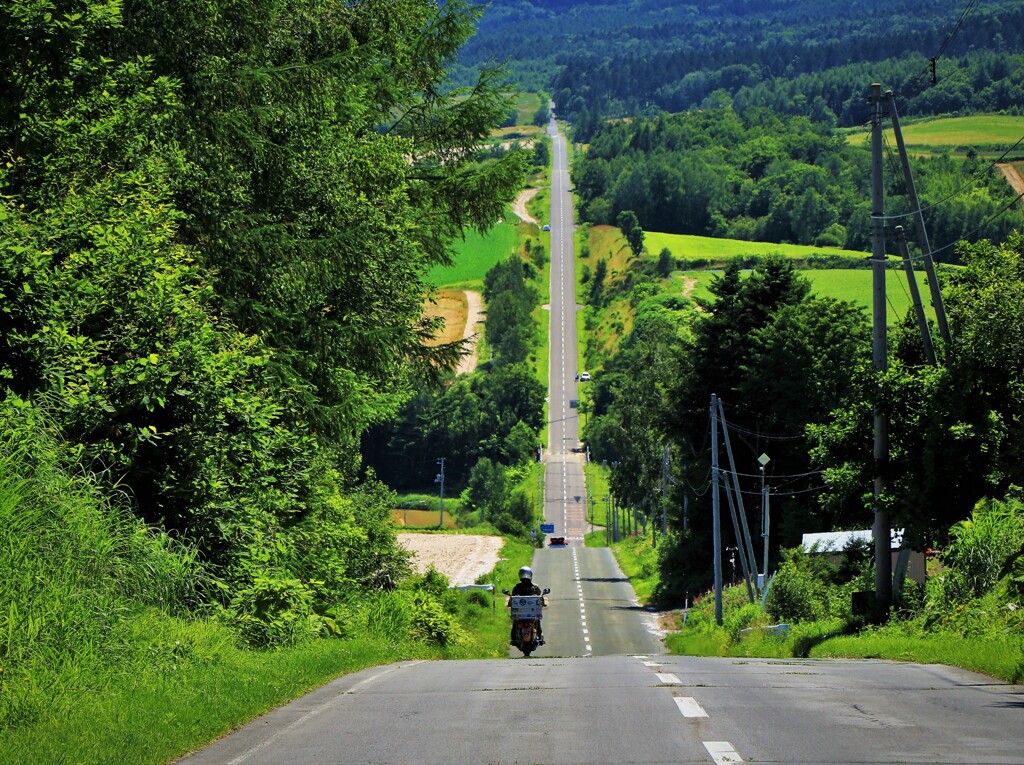 美瑛ジエットコスタ－の道