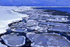 もうすぐ春ですね～♪