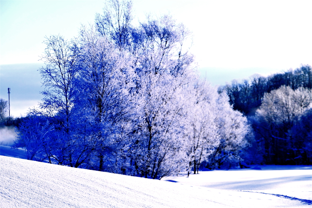 冬景色（蔵出）