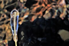 氷の世界Ⅵ(透明のアイスキャンデ-？）