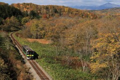 秋の函館本線(ニセコから蘭越へ）