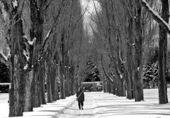 散歩道(モノクロ）