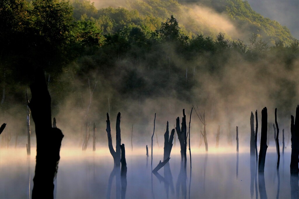 赤井川村落合ダムⅠ