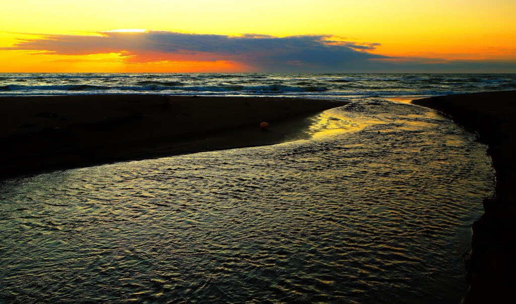 夕日に注ぐ川Ⅱ（蔵出）
