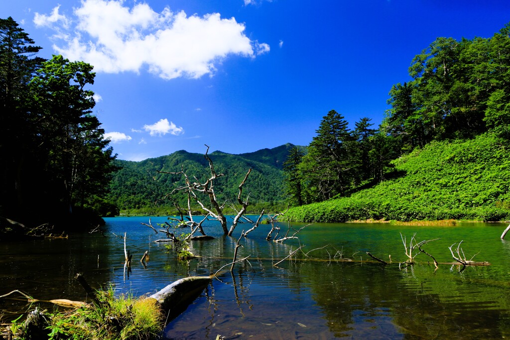 三大秘湖　オコタンペ湖