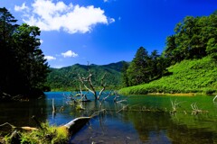 三大秘湖　オコタンペ湖
