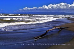 夏の終わりにⅡ(流木）