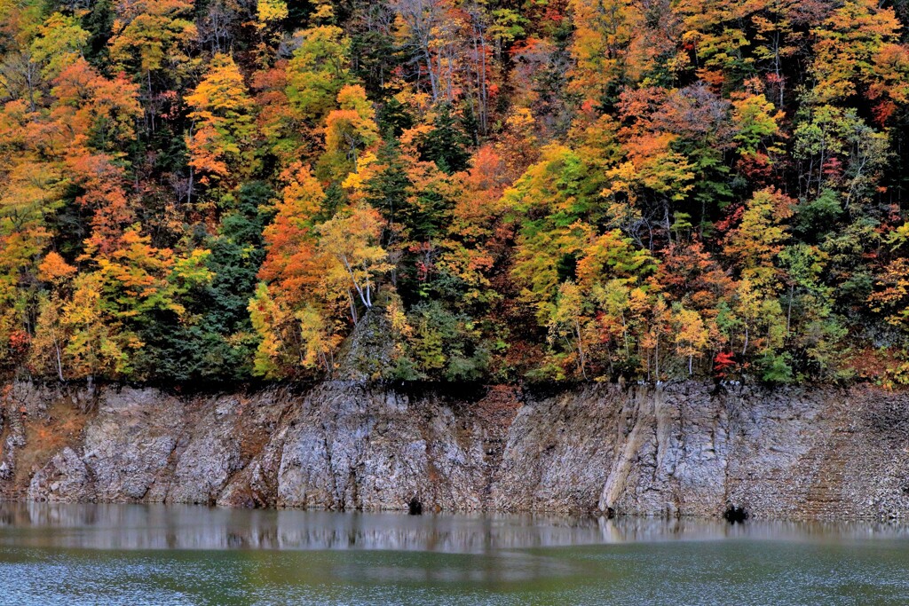 燃える秋(札幌湖）