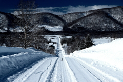 冬一本路（蔵出）