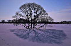 石狩川河川敷ハンノ木