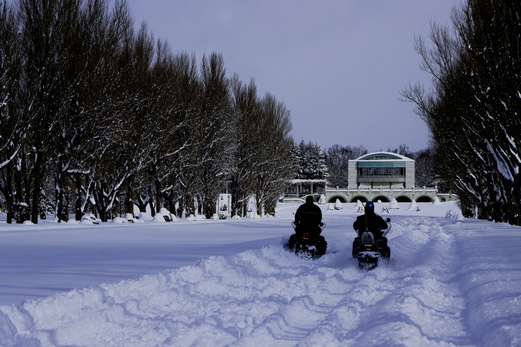 公園管理