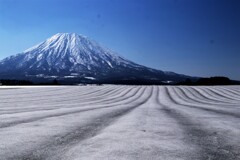 羊蹄山と融雪剤