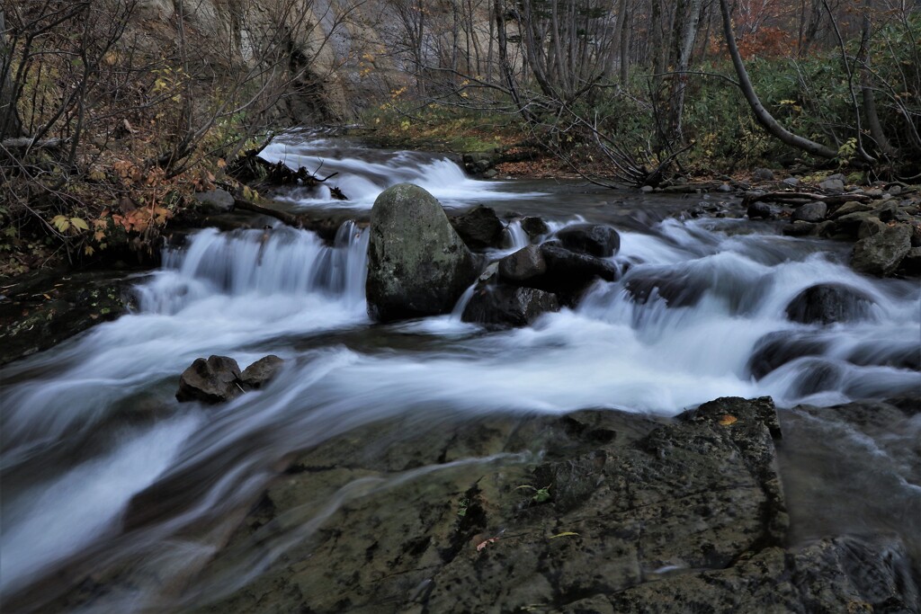 晩秋のキロロ余市川上流