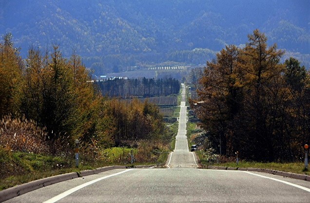 晩秋の路(蔵出）
