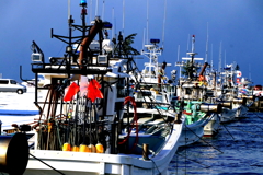 漁待ち(石狩僥倖)