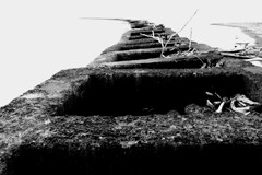 石狩川河口導流提