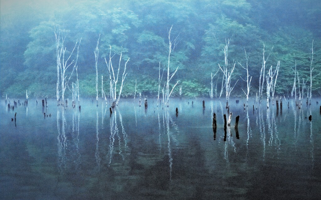 赤井川村落合ダム湖