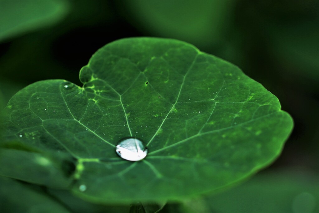 september rain(9がつの雨）Ⅱ