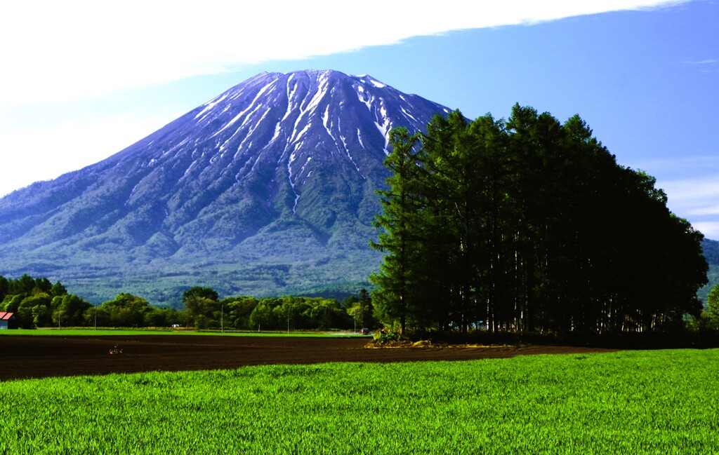 羊蹄山Ⅱ