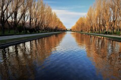 森林公園のカナ－ル