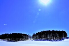 冬の真狩美原牧場