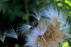 別れの季節へ～