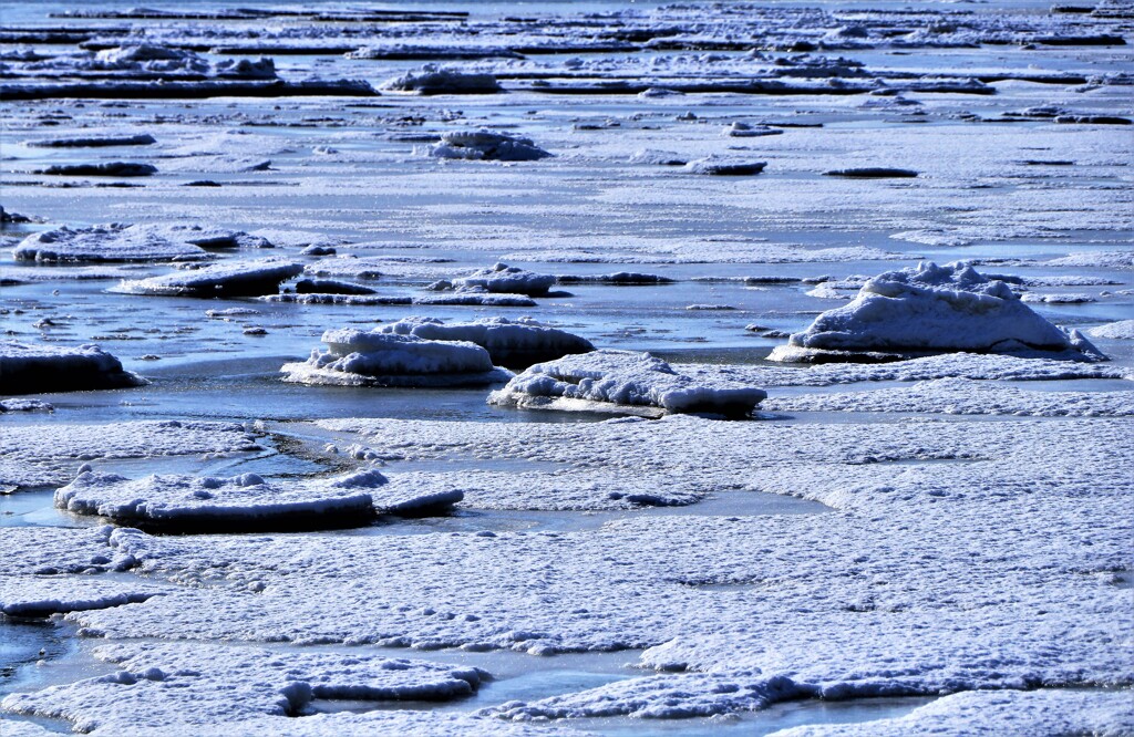 春がやって来る