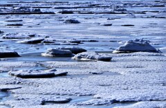 春がやって来る