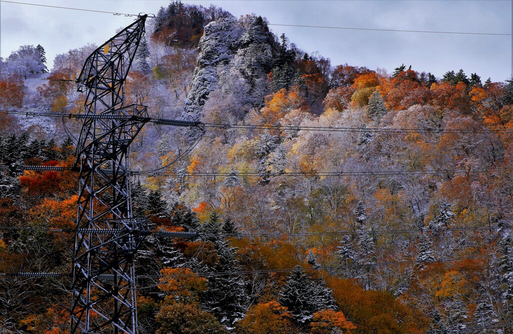 冬が来る前に～♪