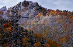 冬が来る前に～♪