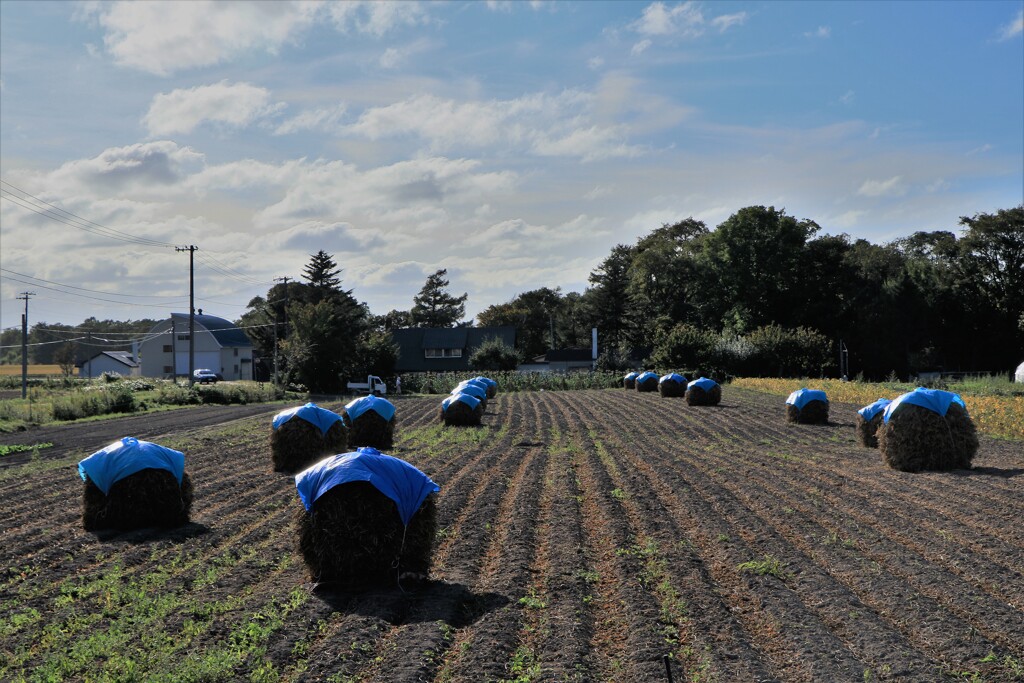 深まる秋への準備