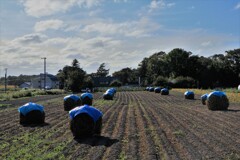 深まる秋への準備